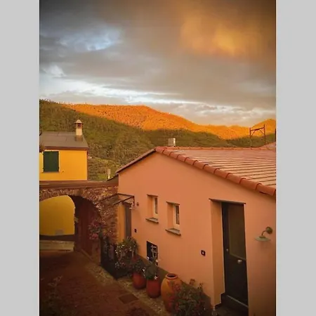 Casa Sara, Levanto, In Collina Ad Un Passo Dal Mare! 別荘 レヴァント